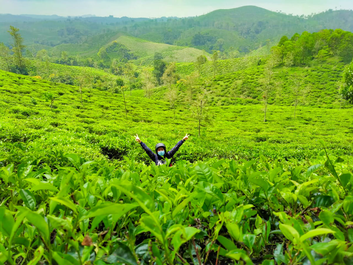 20 Tempat Wisata Di Tasikmalaya Yang Banyak Spot Foto