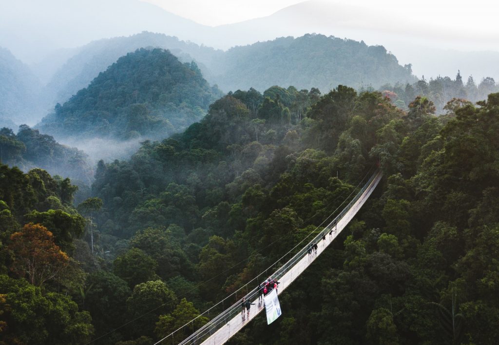 Tempat Healing Di Situ Gunung Sukabumi Dan Destinasi Alam Sekitarnya