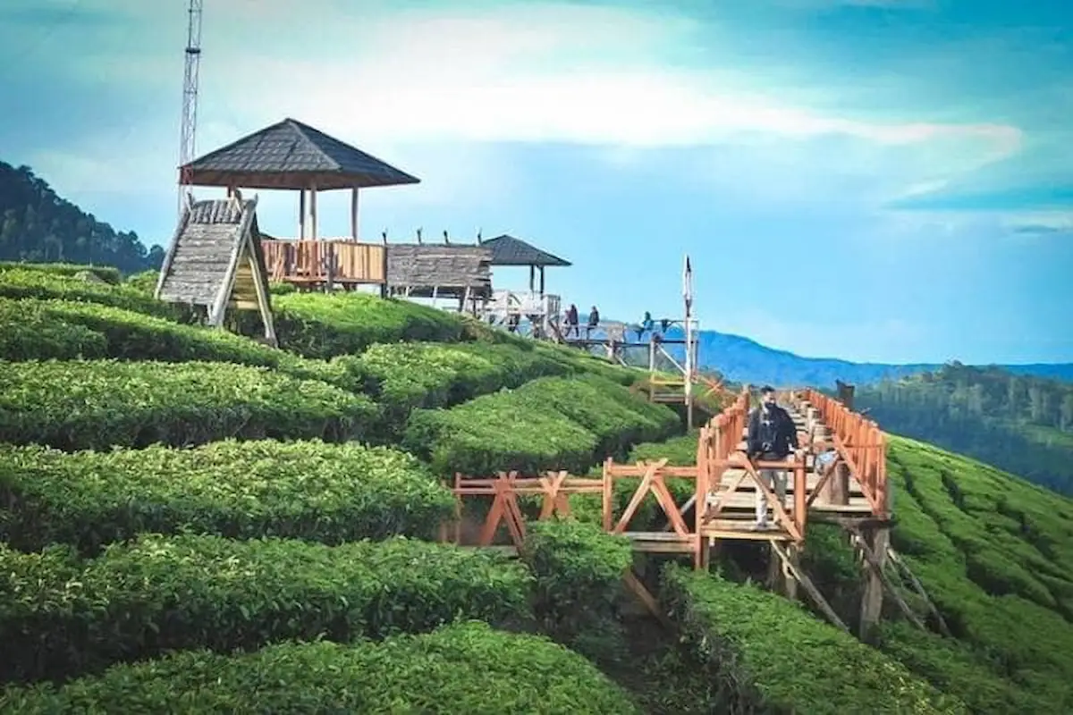 Tempat Wisata Di Pangalengan Yang Lagi Viral Ke Sini Yuk