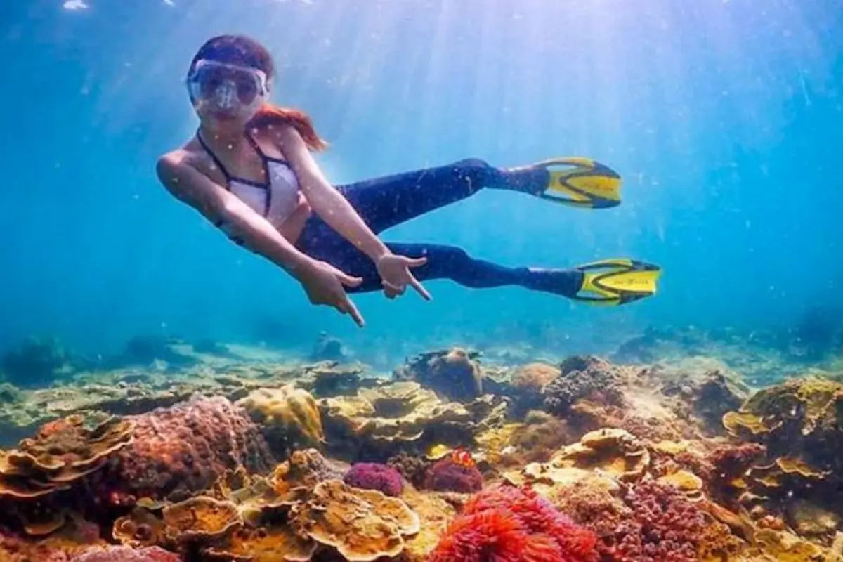 Snorkeling Pulau Tidung Daya Tarik Dan Beberapa Tipsnya