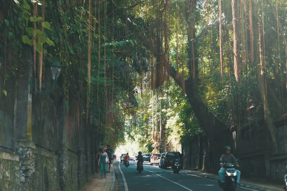 15 Tempat Wisata Di Ubud Yang Lagi Hits Untuk Kamu Kunjungi