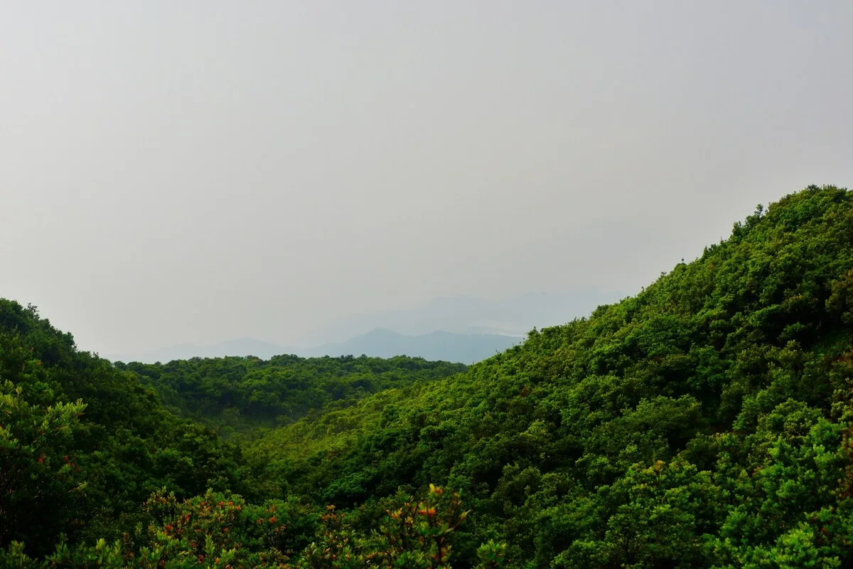 Gunung Tangkuban Perahu Legenda Sangkuriang Hingga Panorama Kawah