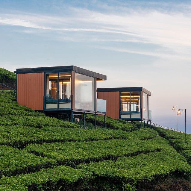 Creating a closer way to experience nature