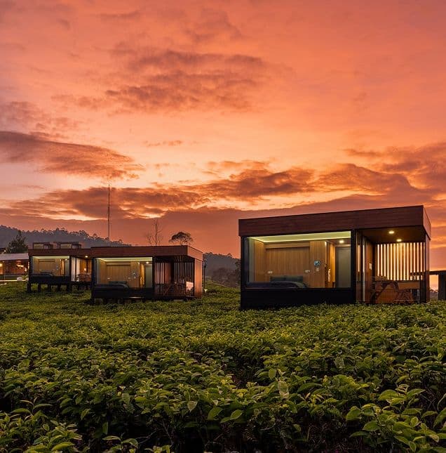 Emerging Asia-Pacific Hospitality Leader