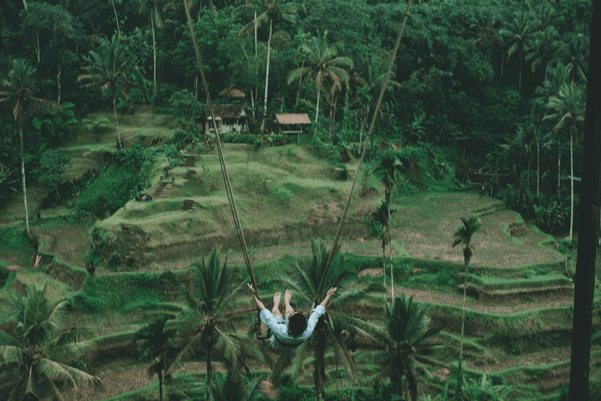 Work from Bali: 8 Recommended Places for the Digital Nomads