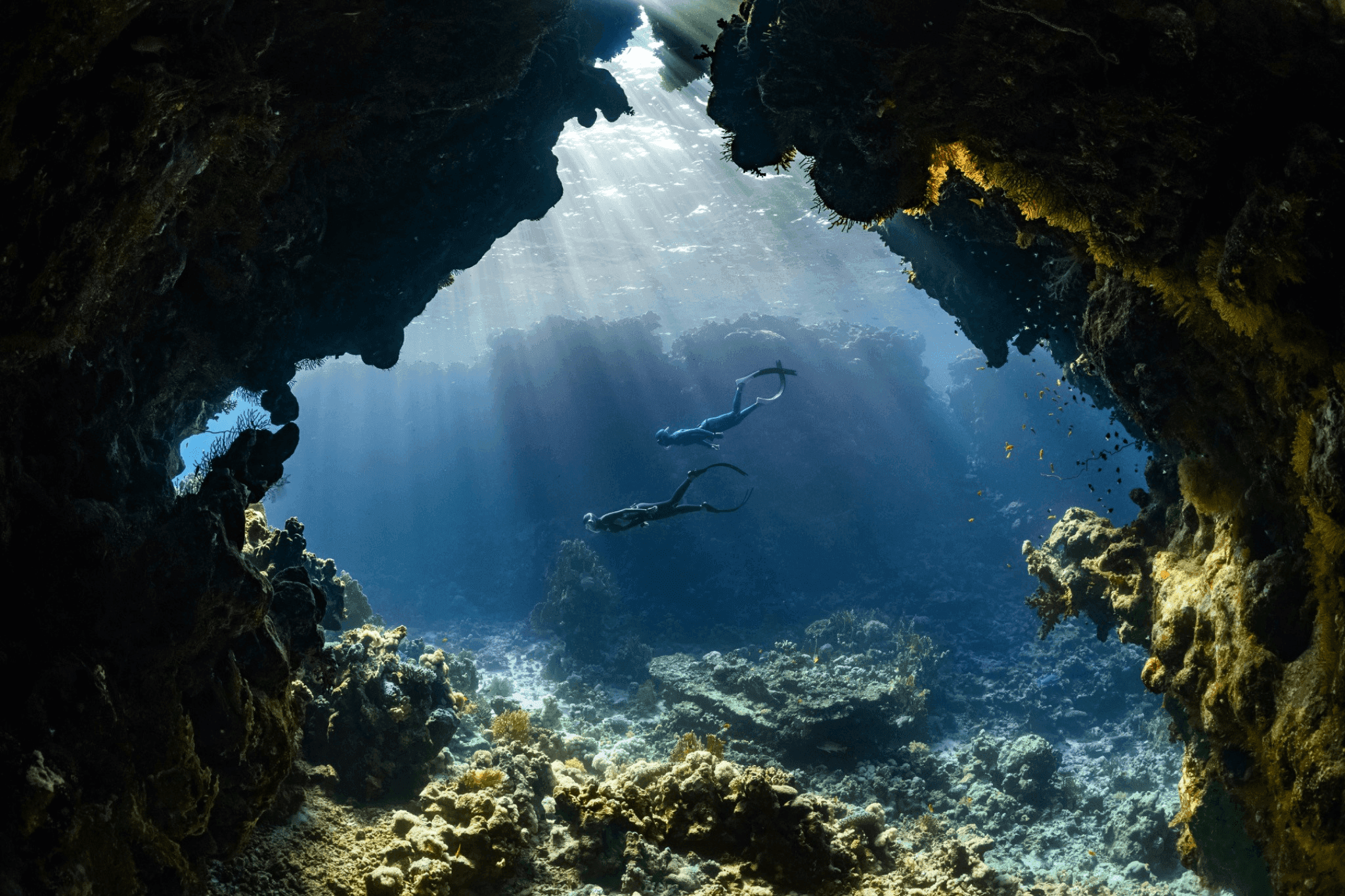 A Guide to Indonesia Scuba Diving: 7 Magical Spots You Can’t Miss