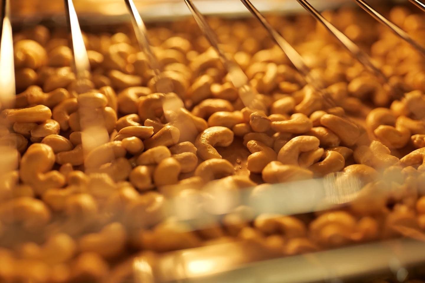 Mengenal 5 Makanan Khas Sumba Barat Daya yang Lezat