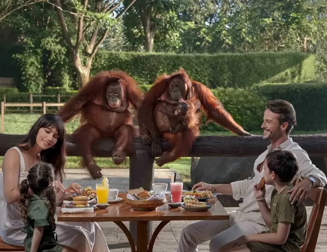 10 Perbedaan Bali Zoo dan Bali Safari, Mana yang Harus Kamu Kunjungi?