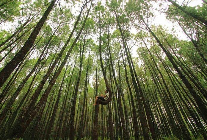 Say, Cheese! Inilah 4 Destinasi Wisata Semarang Instagramable yang Wajib Kamu Datangi