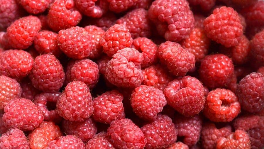 Buah Kerben, Beri Asli Indonesia yang Manis dan Kaya Manfaat