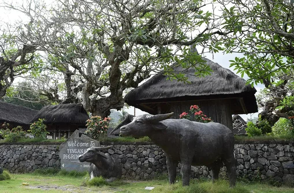 Menelusuri Sisi Lain Bali di Desa Wisata Tenganan