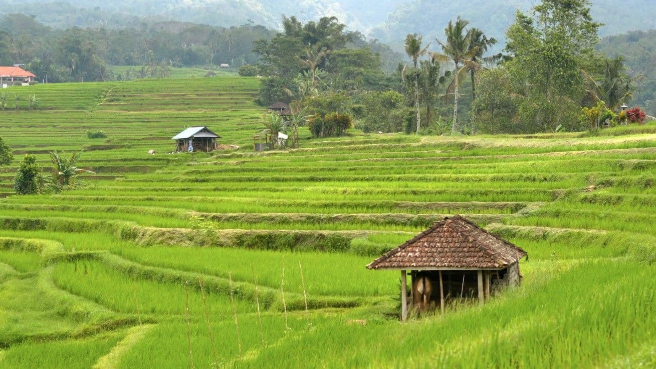 Ini Dia 7 Desa Wisata Terbaik Wajib Dikunjungi. Cocok Buat Tenangkan Diri