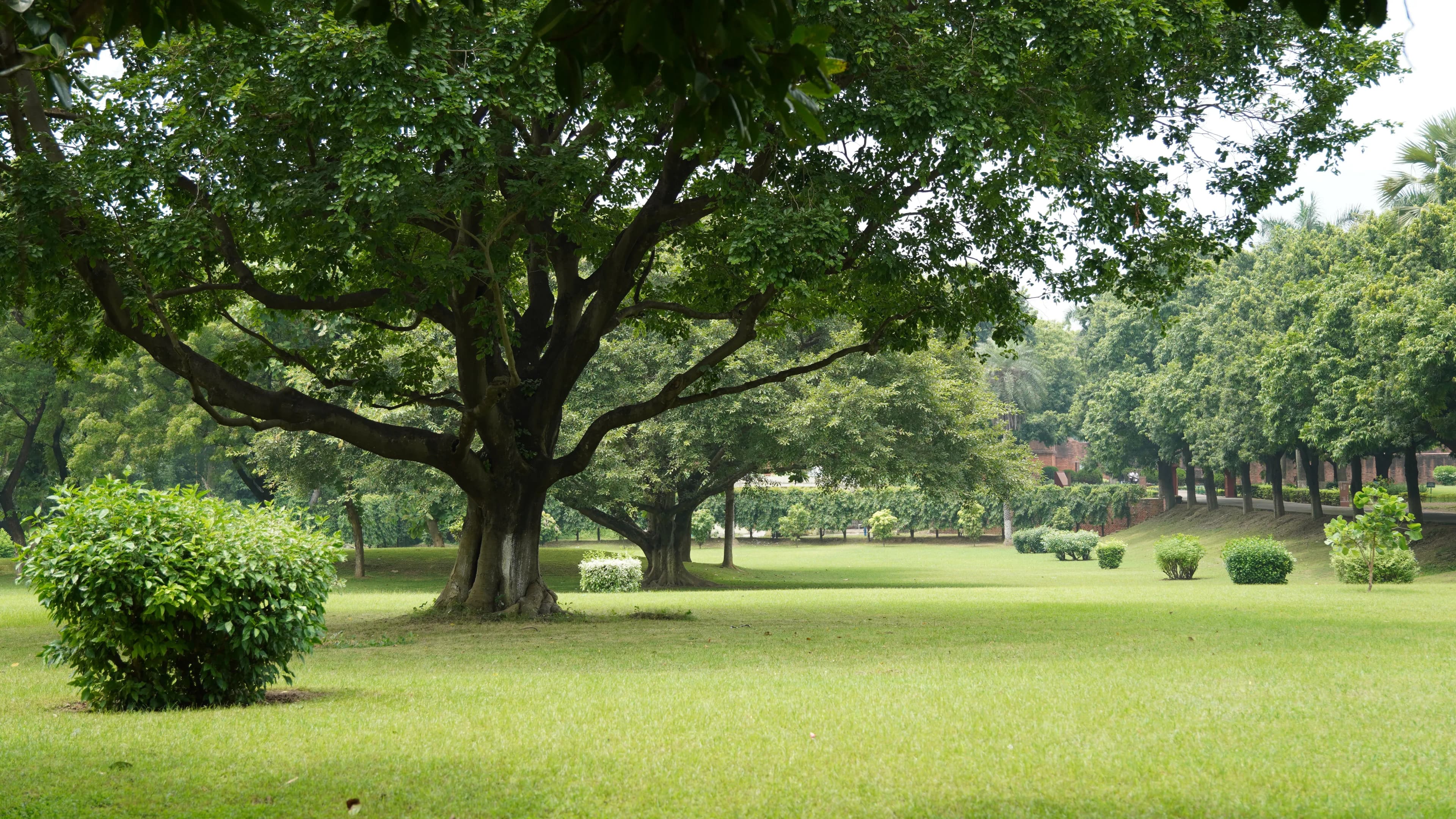 Eco Green Park Batu Kembali Buka. Cocok Nih Untuk Liburan!