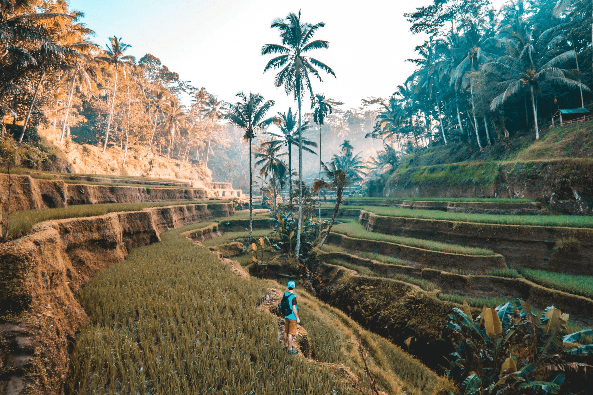 24 Hours in Ubud as a Creative Soul: Plan Your Unique Bali Trip Here!