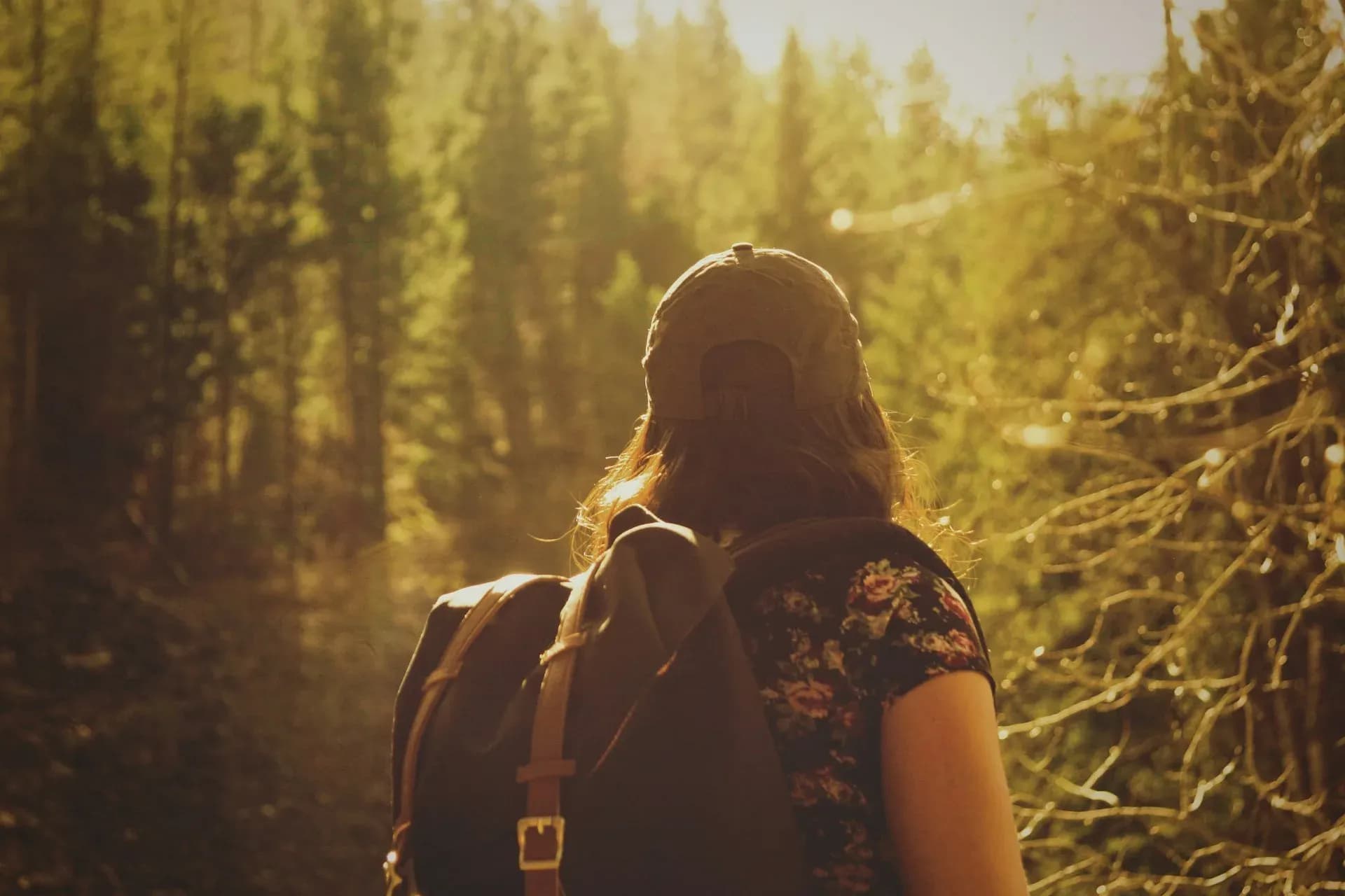 From Mental Clarity to Physical Fitness: The Incredible Benefits of Hiking