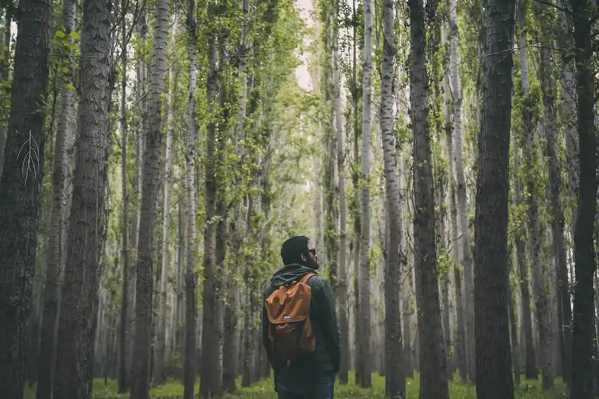Benefits of Hiking: 8 Reasons Why Hiking Is Good for You