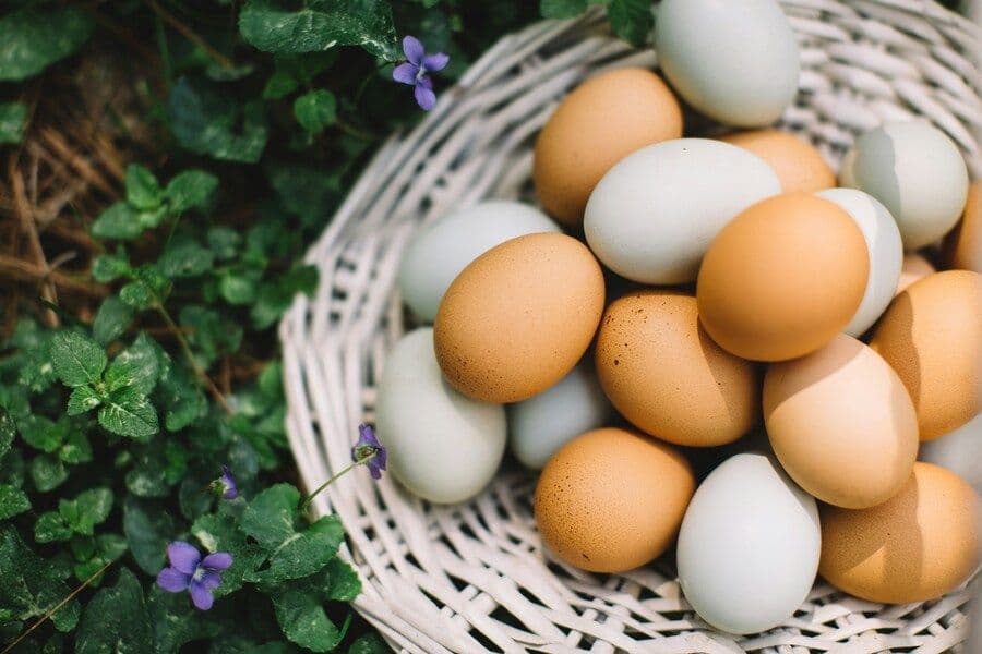 Perbedaan Telur Ayam dan Telur Bebek, Mana yang Lebih Sehat?