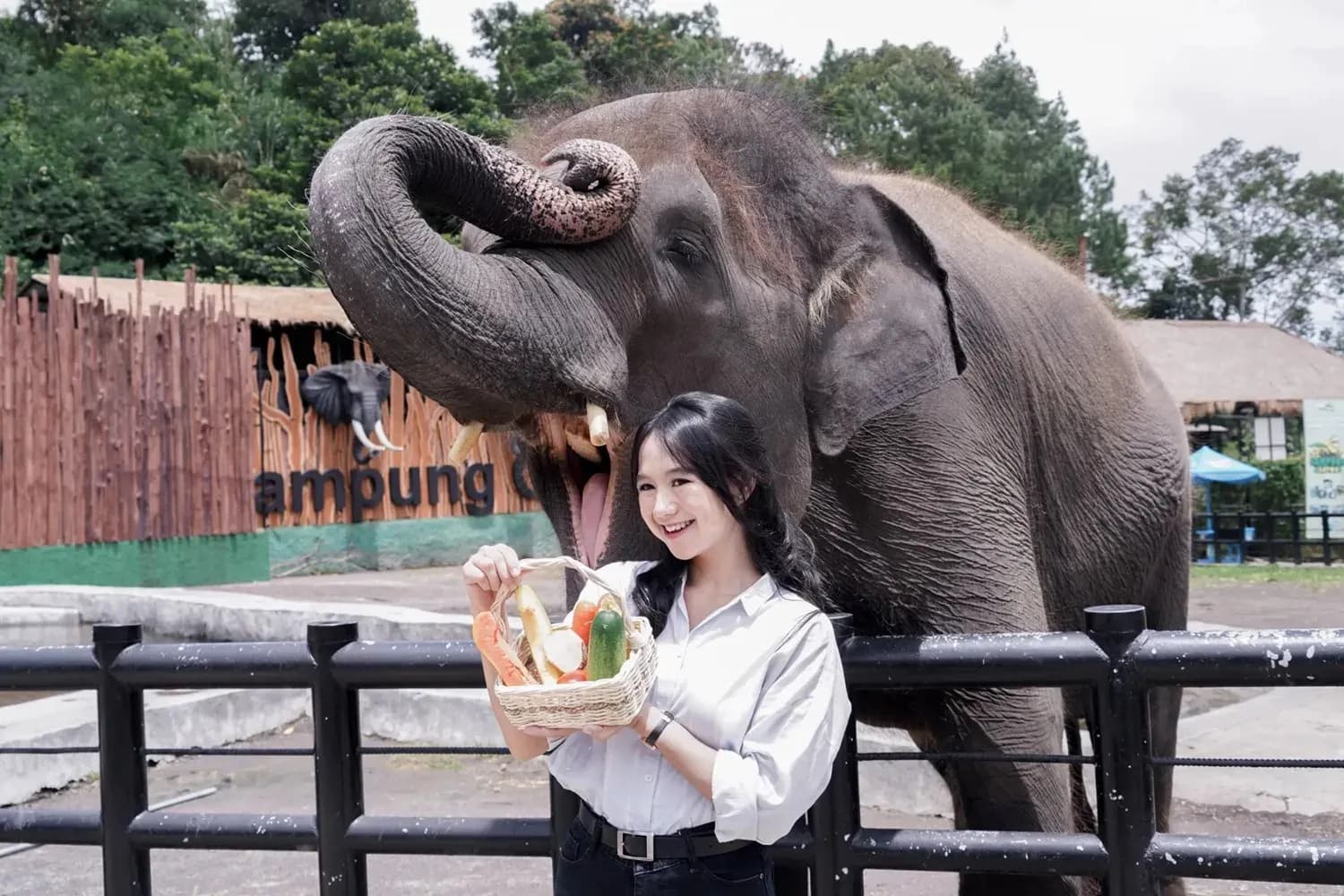 7 Aktivitas Seru yang Bisa Kamu Lakuin di Lembang Park & Zoo