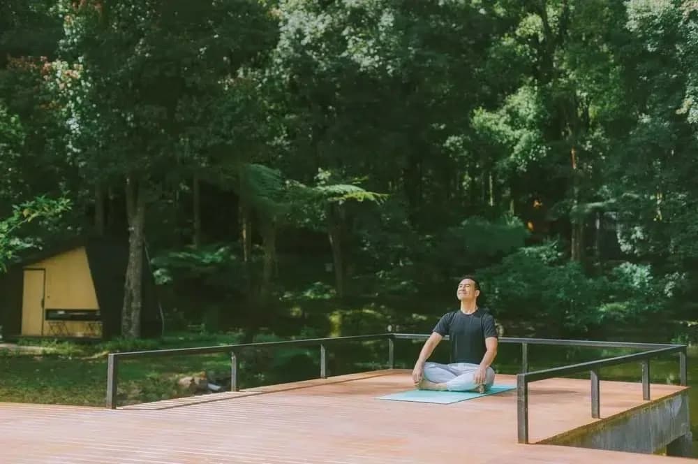 The Journey to Well-being: Reviving Mind, Body, and Soul for a Better Life
