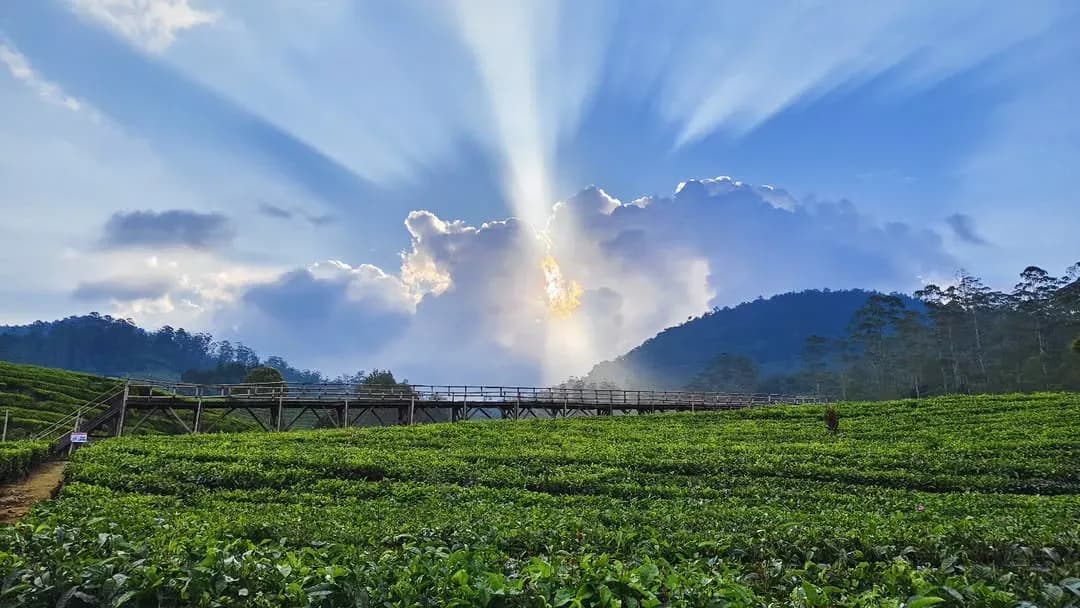 10 Tempat Family Gathering Pangalengan Paling Aesthetic