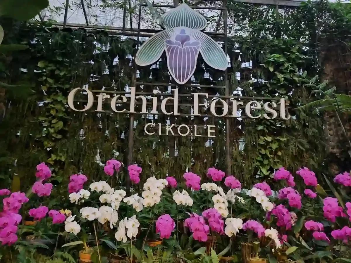 Review Orchid Forest Cikole