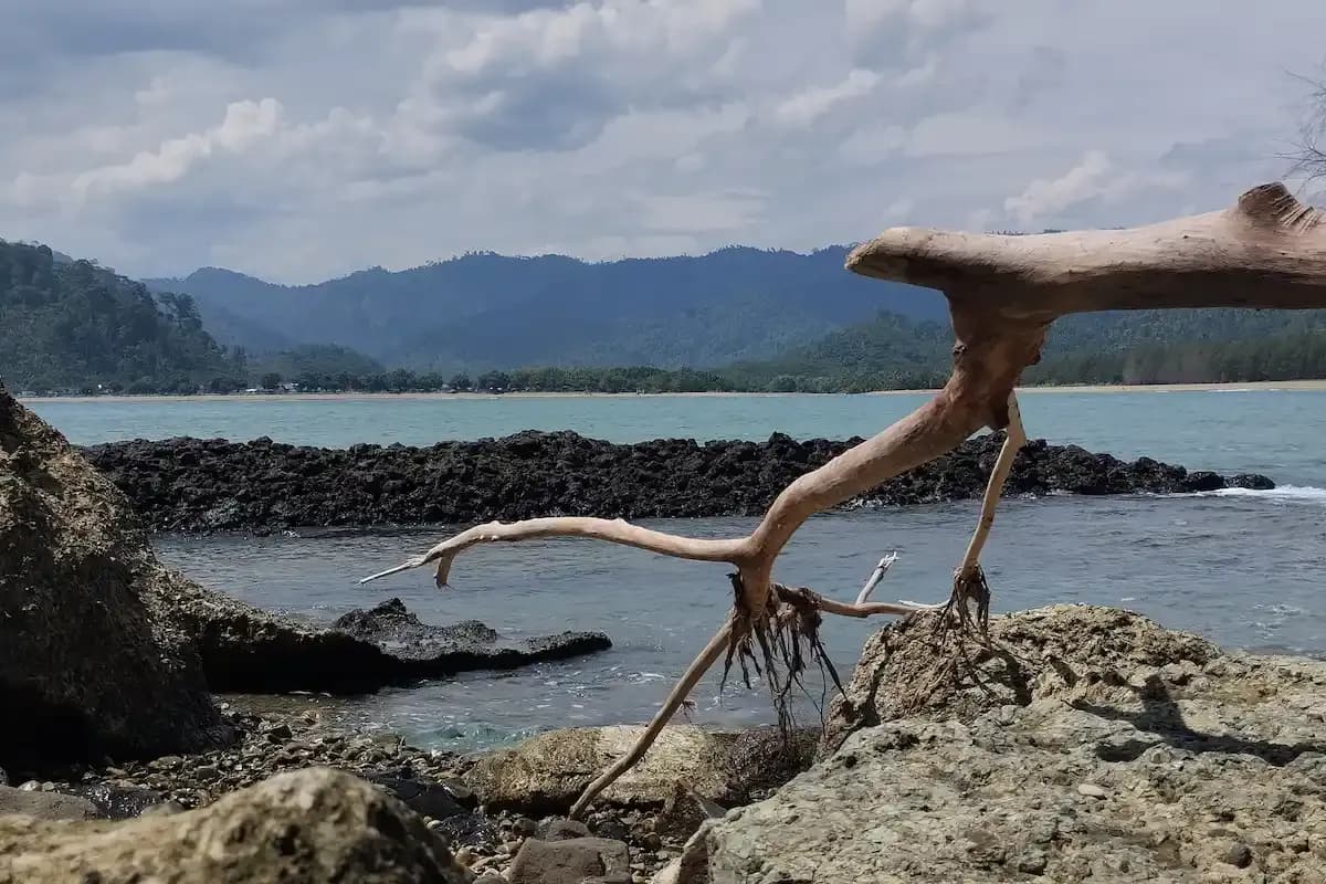 Daya Tarik Pantai Sipelot, Ini Dia Rute dan HTM-nya!