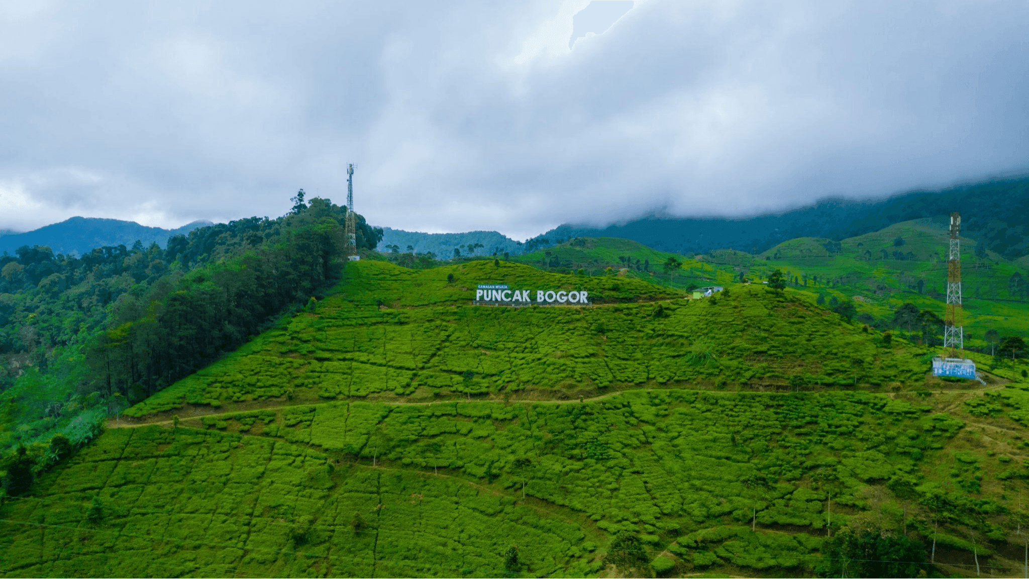 Puncak Gunung Mas: Liburan Keluarga Terbaik Dalam 3 Hari!