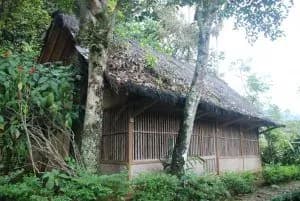 Mengenal Rumah Adat Berusia 200 Tahun dan Hutan Larangan di Kampung Adat Cikondang
