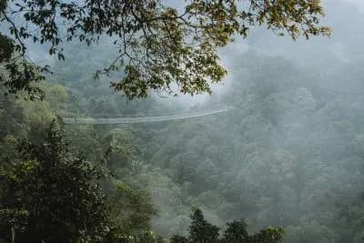 Healing di Situ Gunung Sukabumi dan 12 Tempat Wisata Sekitarnya