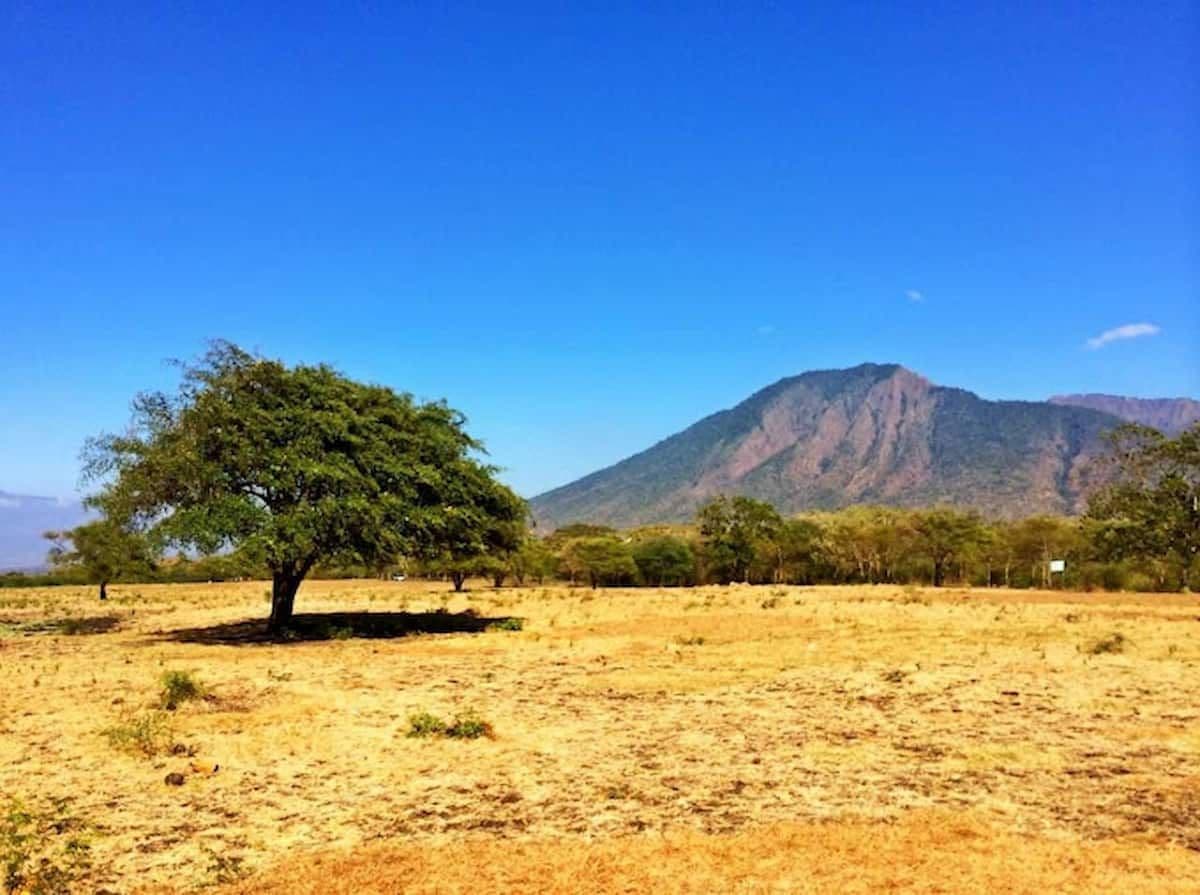 Eksotisme Taman Nasional Baluran, Afrika Kecil di Jawa