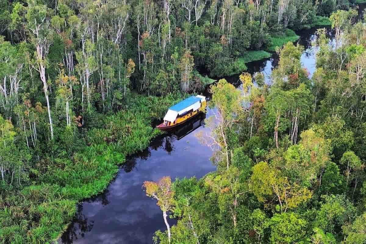 Wisata ke Kalimantan Tanjung Puting National Park
