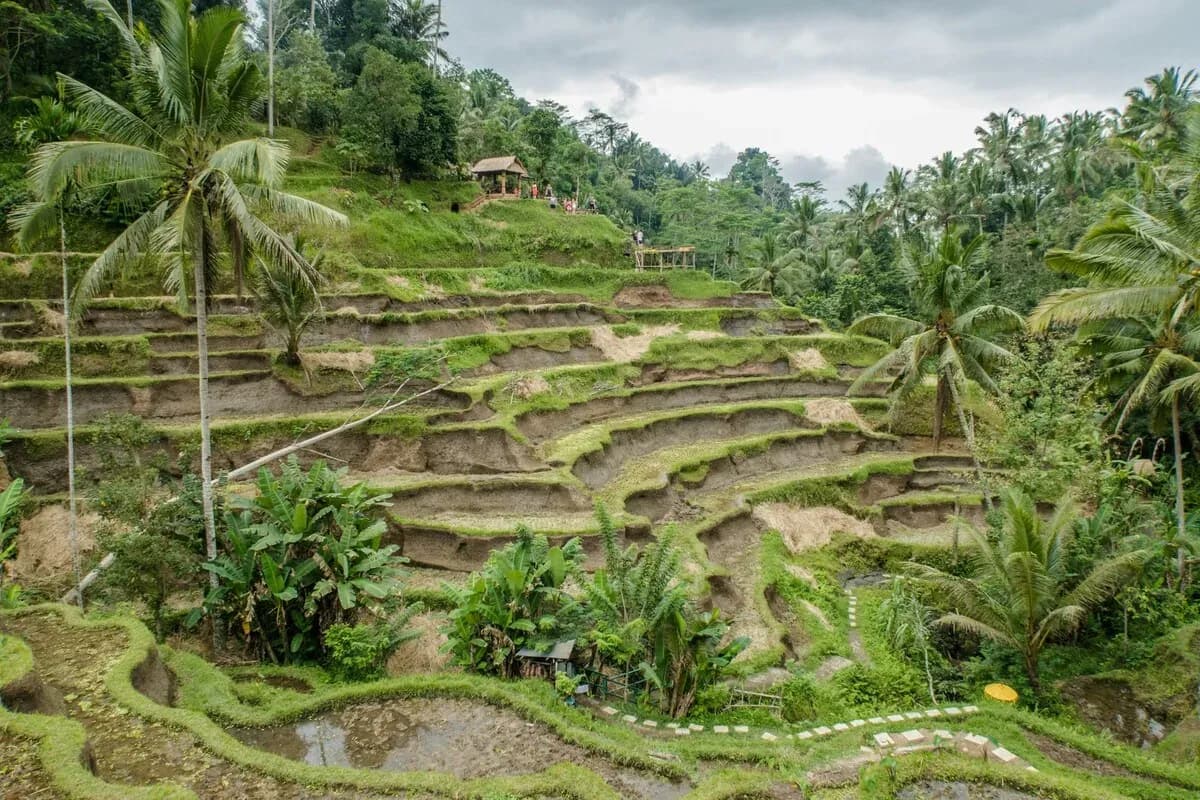 5 Things to Do for a Sustainable Trip in Bali