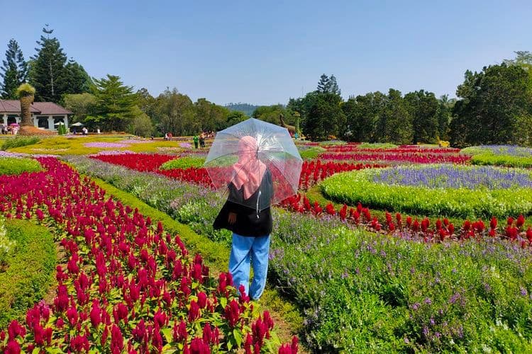 25 Rekomendasi Tempat Liburan di Puncak Bogor untuk Keluarga