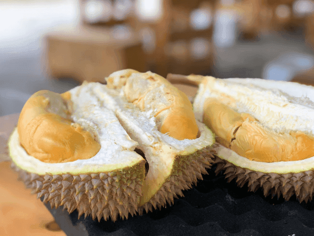 Si Bolang Durian, Cafe Medan Khusus Pecinta Durian