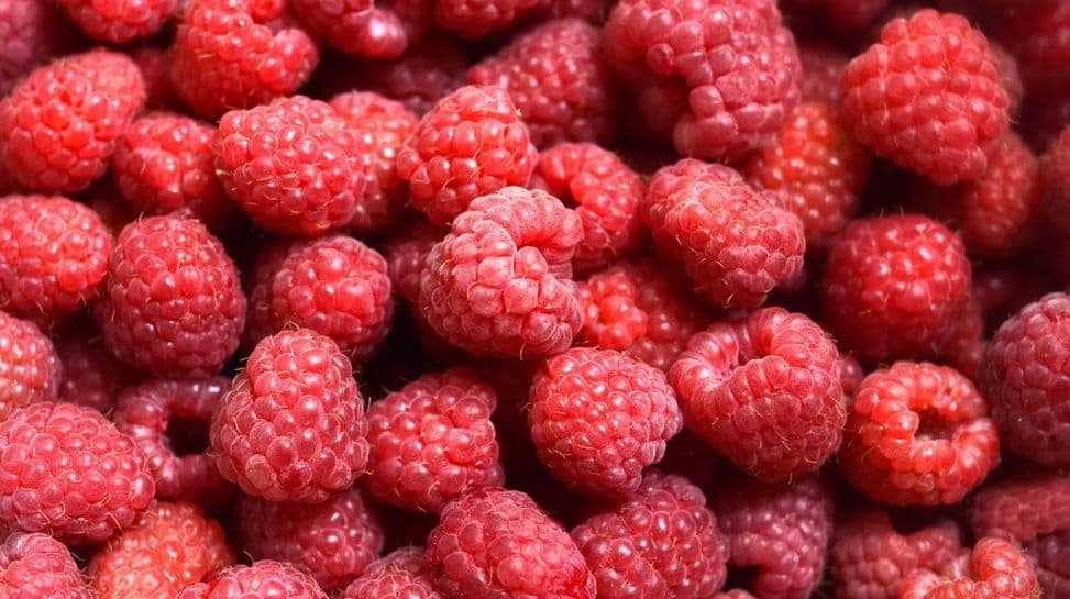 Kenali Apa Itu Buah Kerben, Beri Asli Indonesia yang Nikmat dan Menyegarkan