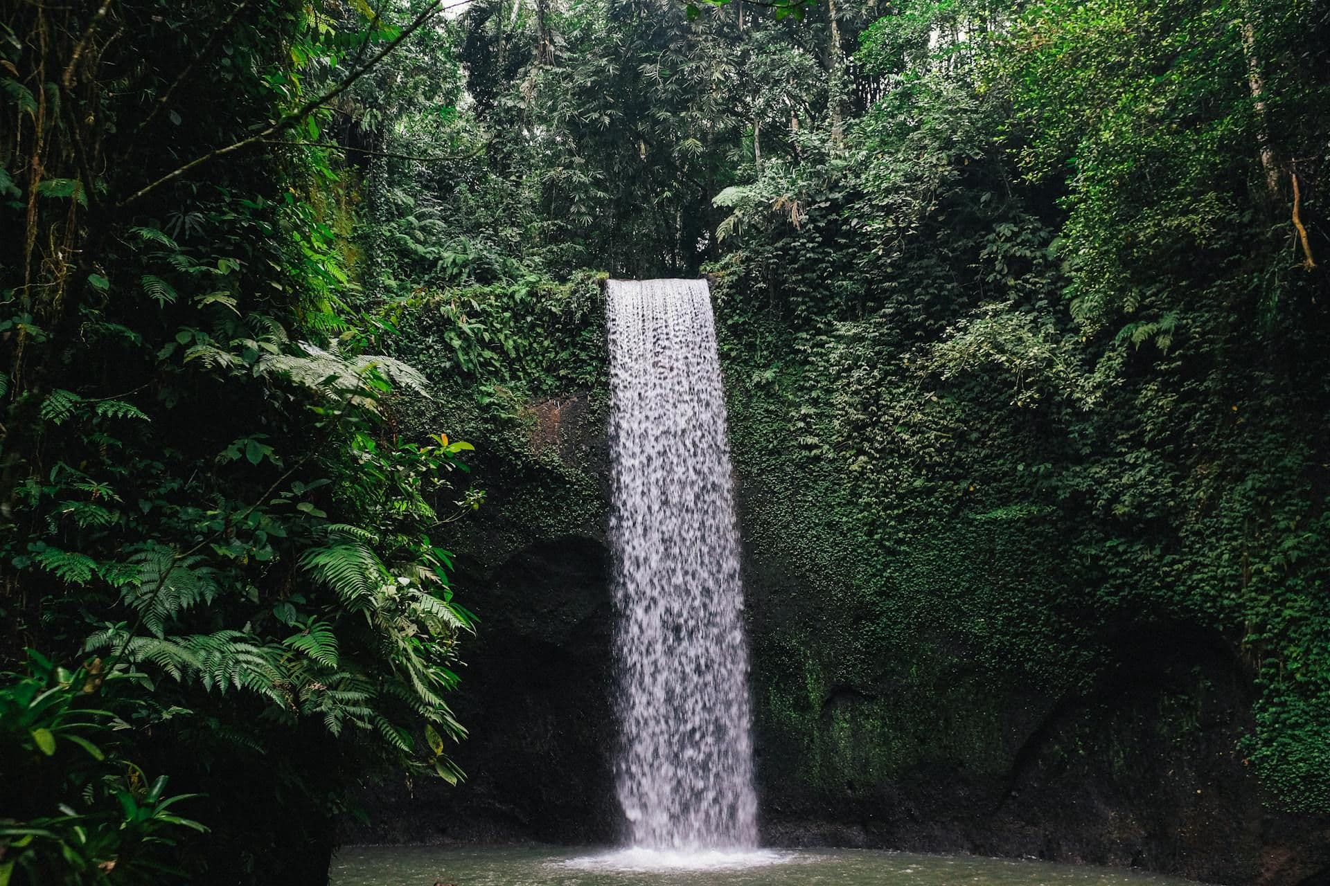 Suwat Waterfall: The Hidden Canyon Gem You Need on Your Bali Itinerary