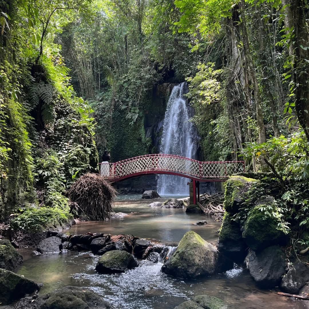 6 Air Terjun di Ubud yang Paling Photogenic, Gas ke Sini!