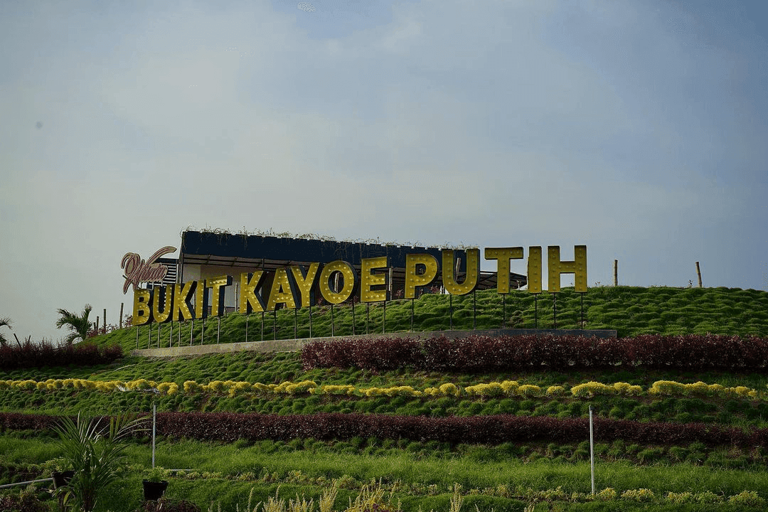 Bukit Kayoe Putih, dari Ide Skripsi sampai Destinasi Rekreasi