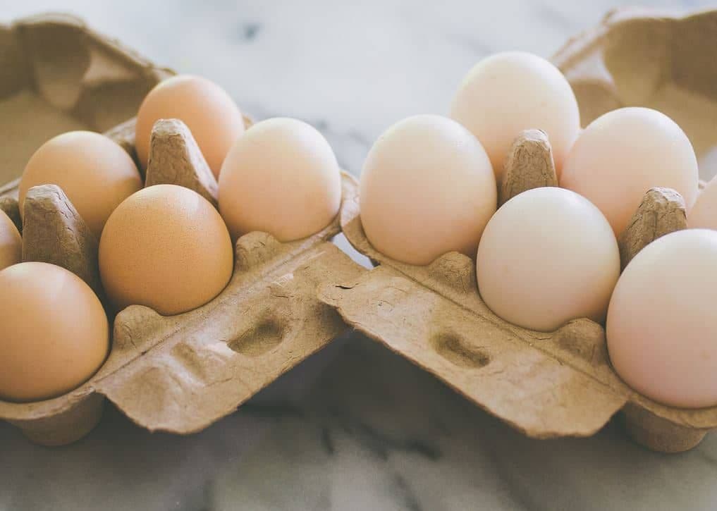 Telur Ayam vs Telur Bebek: Apa Bedanya Telur Ayam dan Telur Bebek Serta yang Mana yang Lebih Sehat?