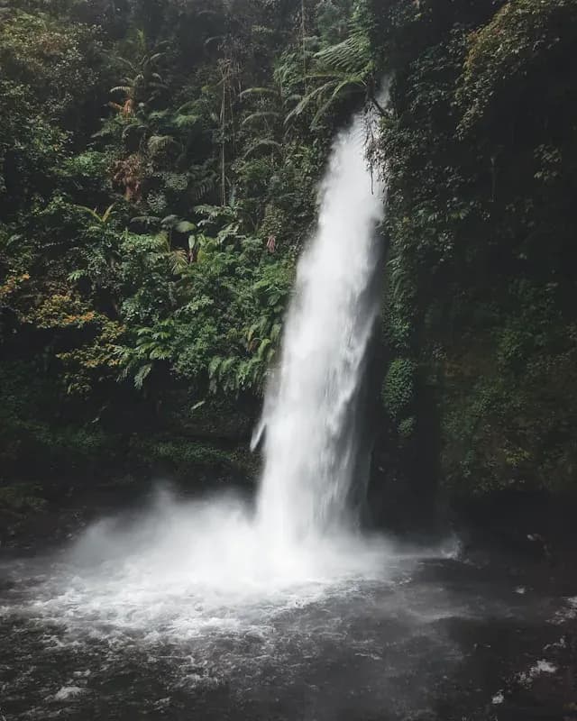 Curug Sawer Situ Gunung: Air Terjun dengan Jembatan Gantung Ikonik