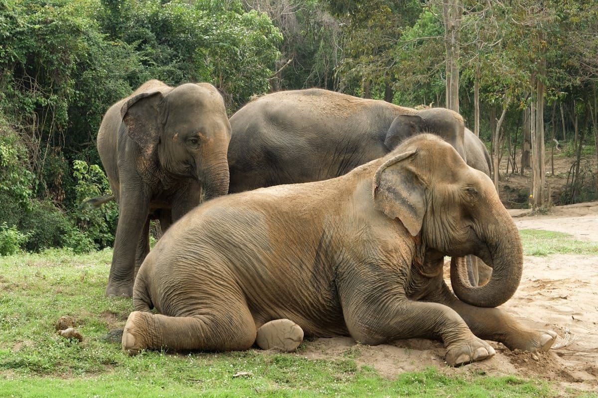 8 Pilihan Tempat Wisata Anak di Bandar Lampung yang Seru