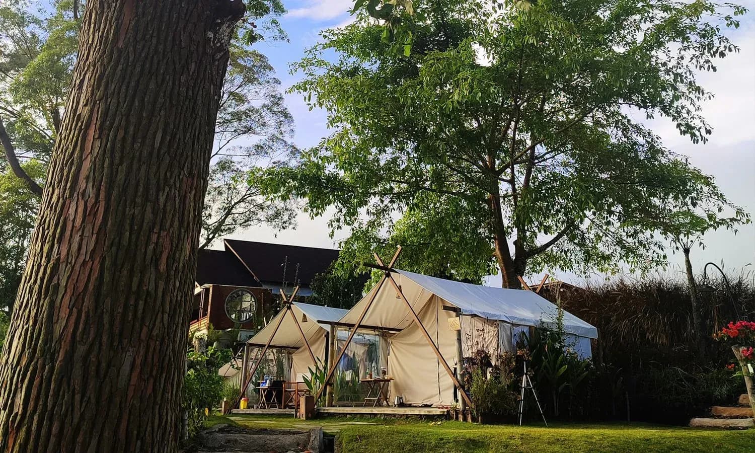 15 Glamping di Jawa Timur yang Nggak Bikin Kantong Bolong