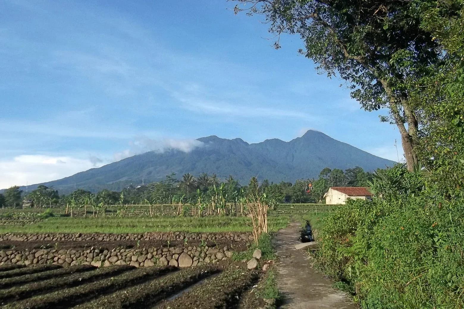 5 Rekomendasi Tempat Glamping dengan View Gunung Salak