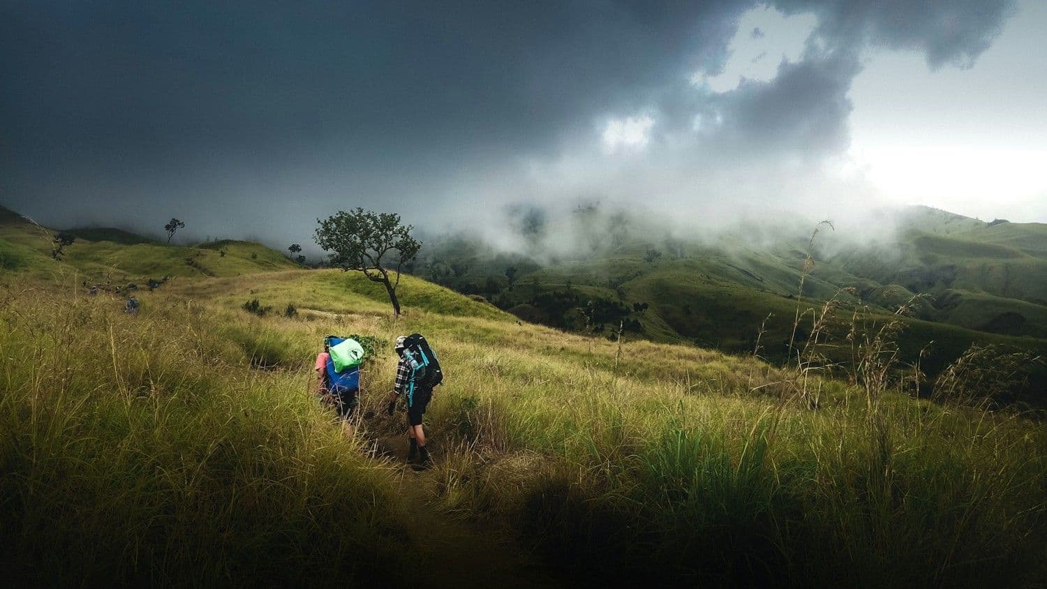 6 Kasus Pendaki Gunung Hilang di Indonesia, Untung Selamat!