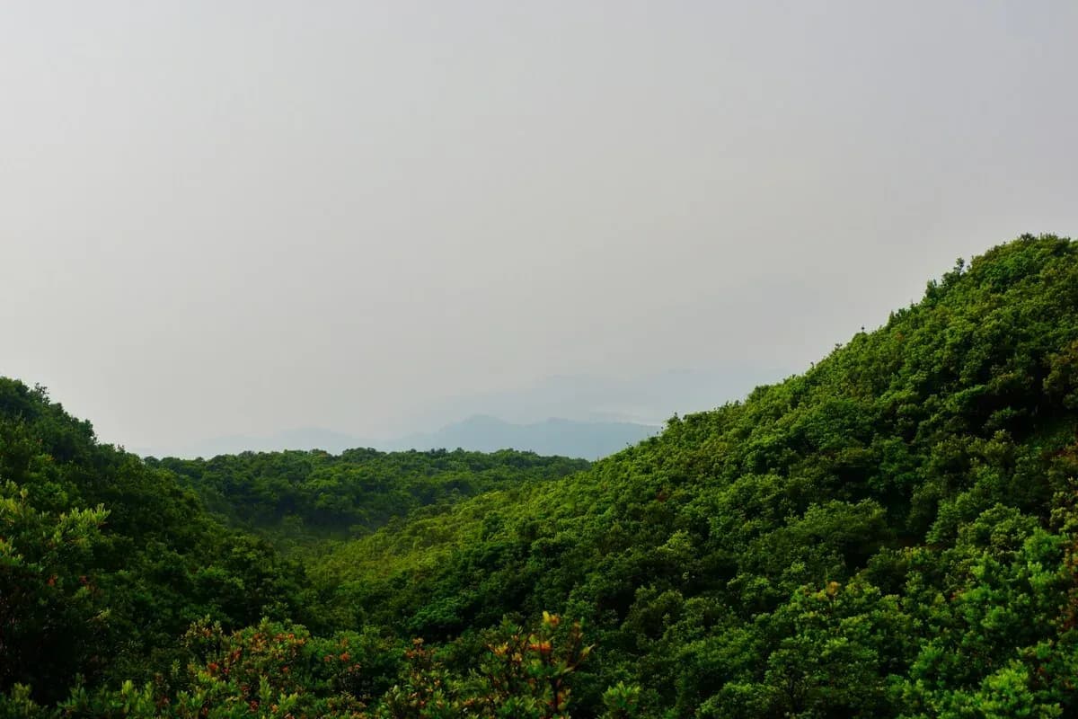 Gunung Tangkuban Perahu: Legenda Sangkuriang hingga Panorama Kawah
