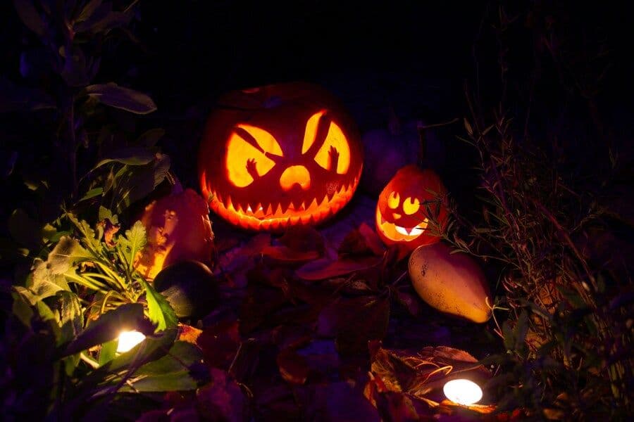 7 Aktivitas Halloween di Rumah, Seram Tapi Tetap Berkesan