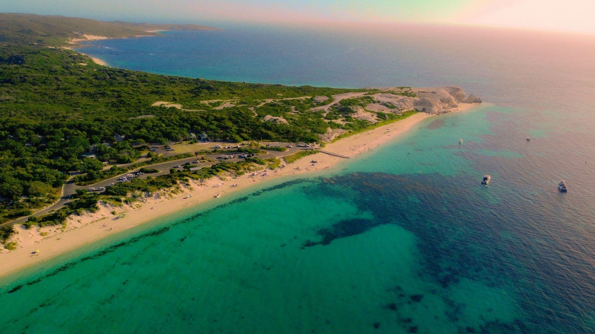 Meet the Gentle Giants of Hamelin Bay, Western Australia