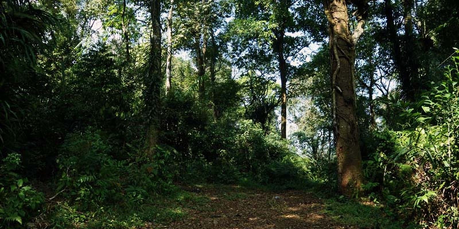 Jelajah Pulau Ramree, Tempat Paling Berbahaya di Bumi