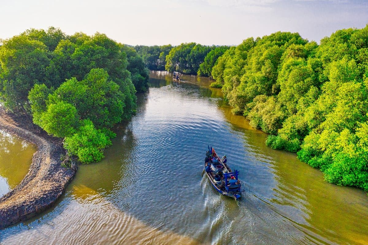 Panduan Wisata Hutan Mangrove Wonorejo, Permata Alam Surabaya
