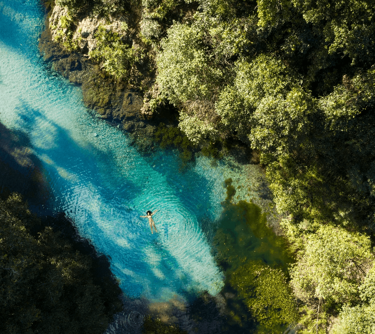 Getting to Know Booloumba Creek: Queensland’s Hidden Paradise